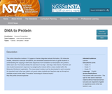 DNA to Protein DNA to Protein