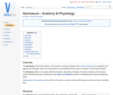 Abomasum - Anatomy & Physiology Abomasum - Anatomy & Physiology