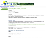 Classify the Trees/Leaves Classify the Trees/Leaves