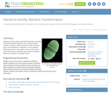 Bacteria Transformation Bacteria Transformation