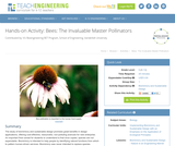 Bees: The Invaluable Master Pollinators Bees: The Invaluable Master Pollinators